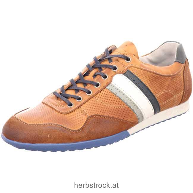 CDLM181009 Sneaker Low braun Männer